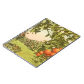Carnet Verger d'orangers vintage (Côté gauche)