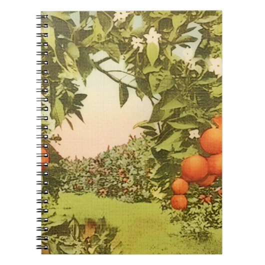 Carnet Verger d'orangers vintage (Devant)