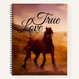 Carnet Véritable Cheval d'Amour