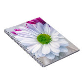 Carnet Verre cassé (Côté Droit)
