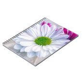 Carnet Verre cassé (Côté gauche)
