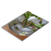 Carnet verre de drops (Côté gauche)