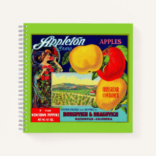 Carnet vers 1900 Appleton Apples crate étiquette