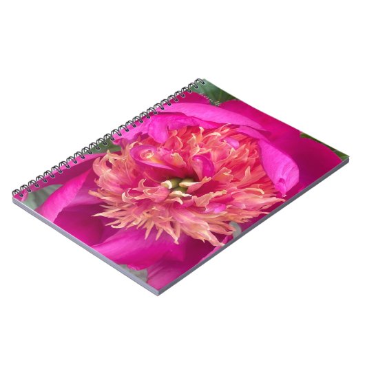 Carnet Vers le haut, point rose chaud (Côté gauche)