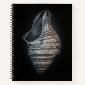 Carnet Version couleur Shells No 6 (Devant)