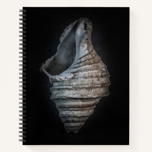 Carnet Version couleur Shells No 6 (Devant)