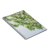 Carnet vert (Côté Droit)
