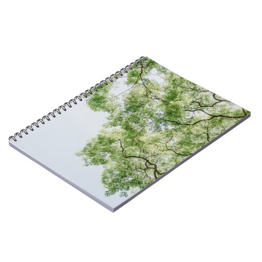 Carnet vert (Côté gauche)