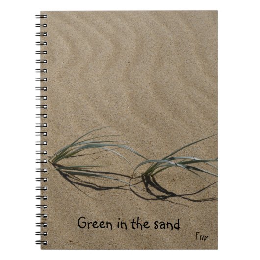 Carnet vert dans le sable (Devant)