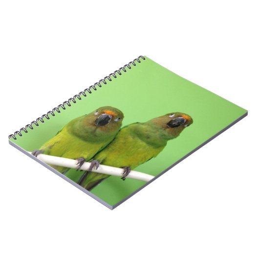 Carnet vert de Conure (Côté gauche)