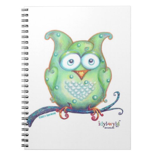carnet vert de hibou (Devant)