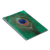 Carnet vert de plume de paon (Côté Droit)