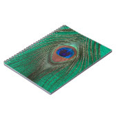 Carnet vert de plume de paon (Côté gauche)