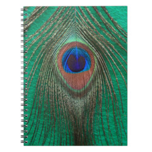 Carnet vert de plume de paon
