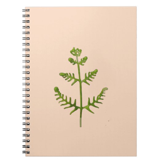 Carnet vert de printemps (Devant)