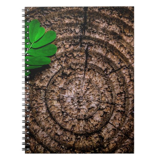 Carnet vert de souche Abstraite (Devant)