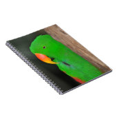 Carnet vert éclectique de perroquets (Côté Droit)
