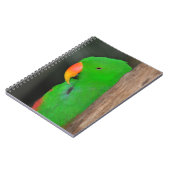 Carnet vert éclectique de perroquets (Côté gauche)