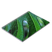 Carnet Vert feuille plante Monstera (Côté gauche)