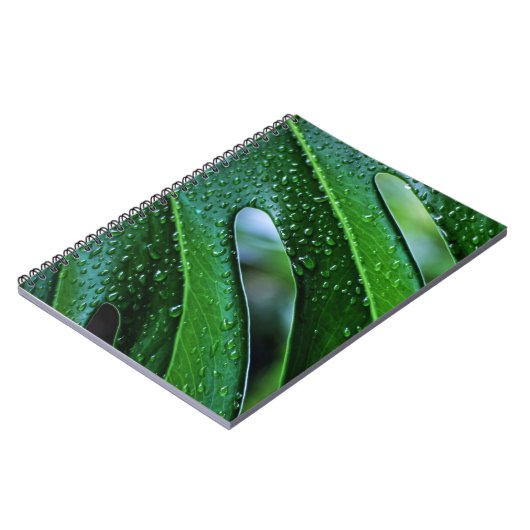 Carnet Vert feuille plante Monstera (Côté gauche)