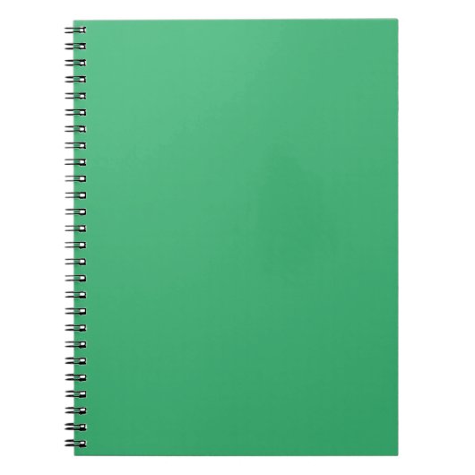 Carnet Vert marin (Devant)