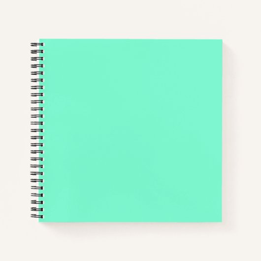 Carnet Vert menthe uni (Devant)