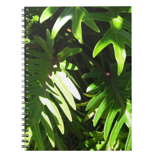 Carnet Vert tropical (Devant)