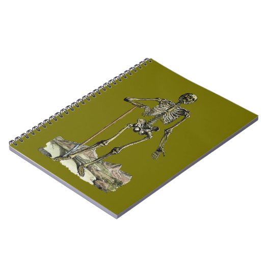 Carnet Vesalius : Système squelettique (Côté gauche)