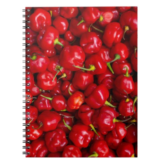 Carnet Vibrant Red Chili Pepper Harvest (Devant)