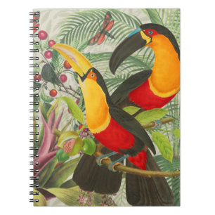 Carnet Vibrant Tropical Toucan Birds Art Exotic Jungle