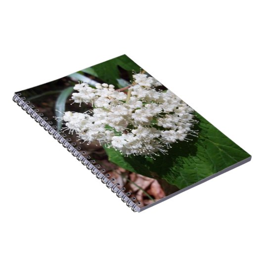Carnet Viburnum de feuille d'érable (Côté Droit)