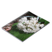Carnet Viburnum de feuille d'érable (Côté gauche)