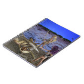 Carnet Vie Préhistorique. (Côté gauche)