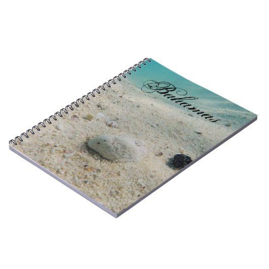 Carnet Vie sous-marine (Côté gauche)