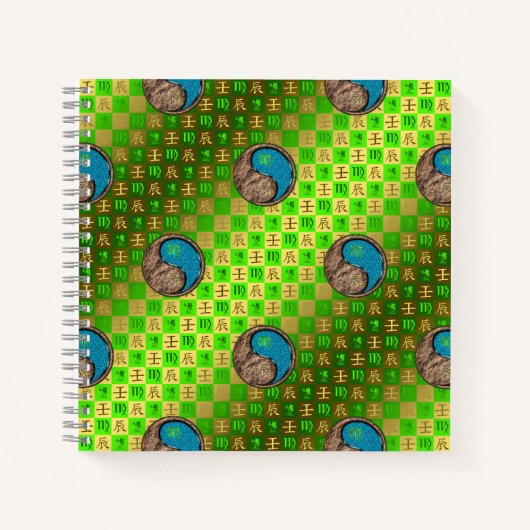 Carnet Vierge & Dragon d'eau (Devant)