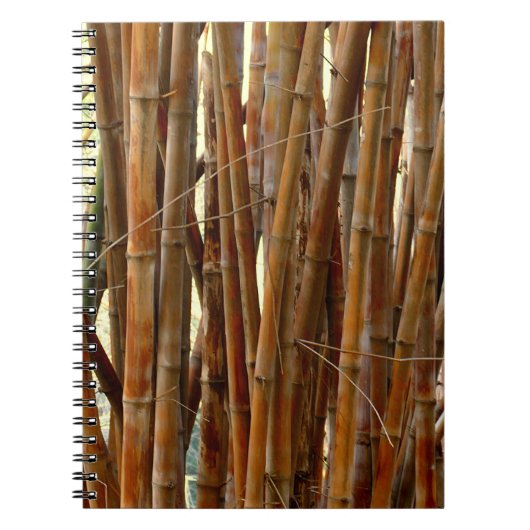 Carnet Vieux Bambou (Devant)