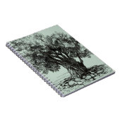 Carnet Vieux olivier (Côté Droit)