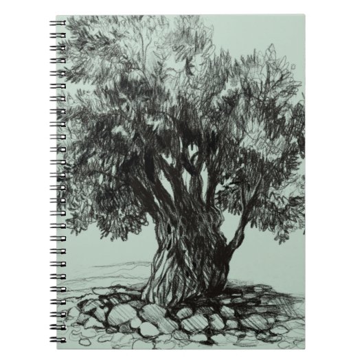 Carnet Vieux olivier (Devant)