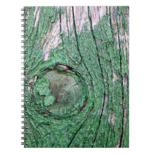 Carnet Vieux Textur Arrière - plan Patiné en bois vert pe