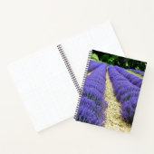 Carnet View of lavender fields in the Drôme provencale (Intérieur)