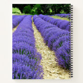 Carnet View of lavender fields in the Drôme provencale (Dos)