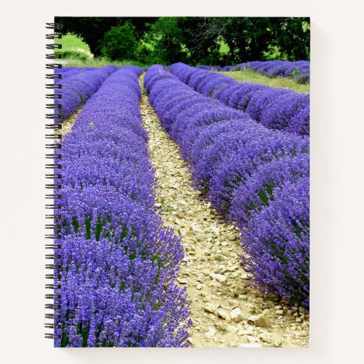 Carnet View of lavender fields in the Drôme provencale (Devant)