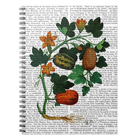 Carnet Vigne de squash 1 (Devant)