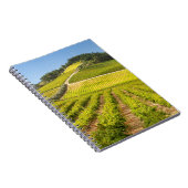 Carnet Vignoble, Stellenbosch, Cap-Occidental (Côté Droit)