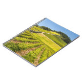 Carnet Vignoble, Stellenbosch, Cap-Occidental (Côté gauche)