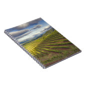 Carnet Vignoble. Vallée de Napa. Napa. Comté de Napa, (Côté Droit)