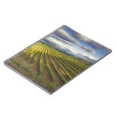 Carnet Vignoble. Vallée de Napa. Napa. Comté de Napa, (Côté gauche)