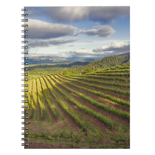 Carnet Vignoble. Vallée de Napa. Napa. Comté de Napa, (Devant)