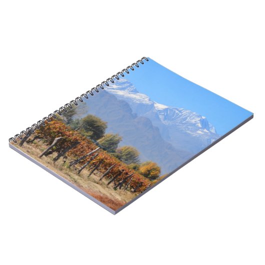 Carnet Vignobles en automne de Mendoza, Argentine (Côté gauche)
