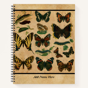 Carnet vintage à la spirale papillon